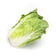products/malaysia-wong-bok-cabbage.jpg