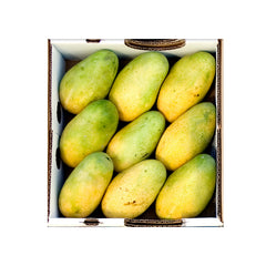 mango pakistan imported fresh mango for Singapore customers
