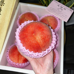 Misaka momo Japanese peach gift box with premium netted peaches