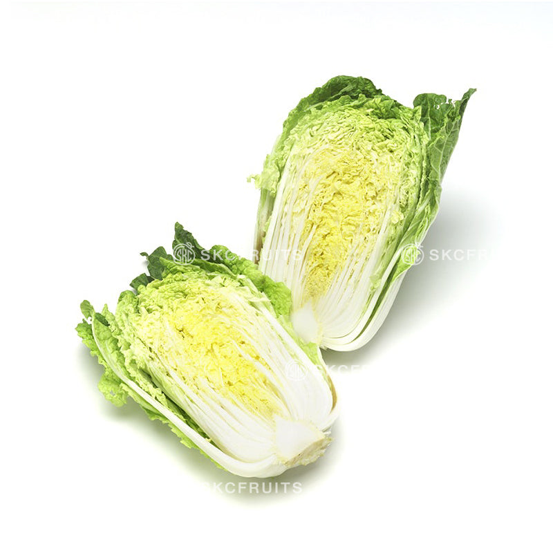 Napa cabbage also known as wong bok wombok and Chinese leaf