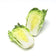products/napa-cabbage.jpg