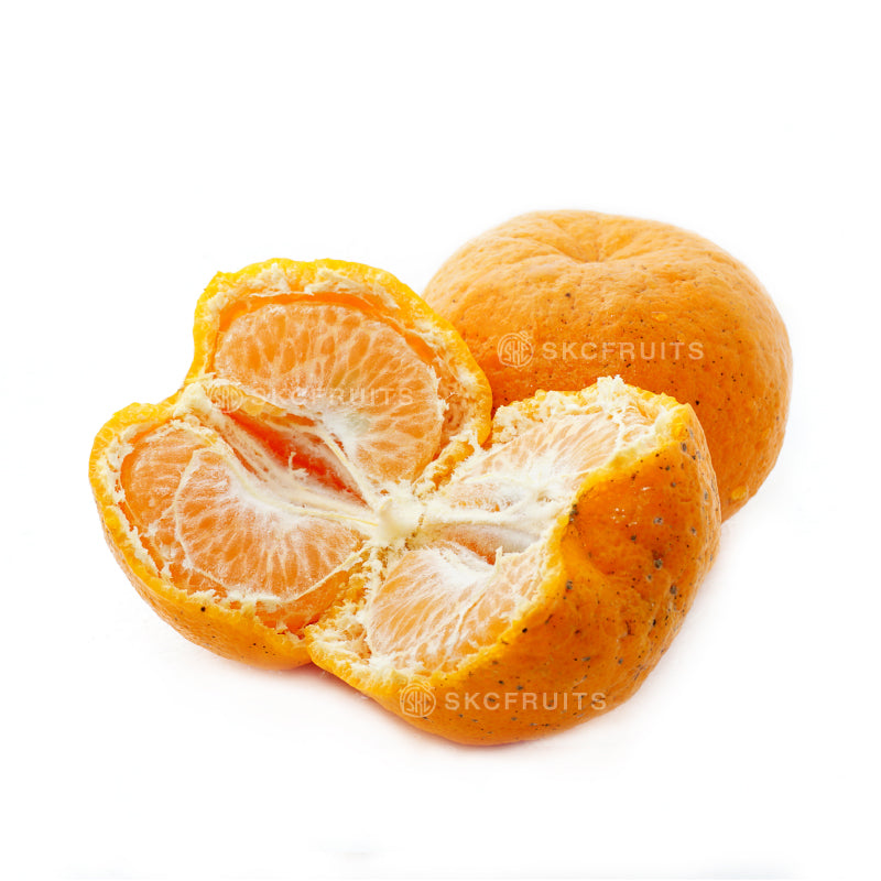 Close-up of Pakistan Oranges Kinno 巴基斯坦柑 showing bright festive citrus flesh
