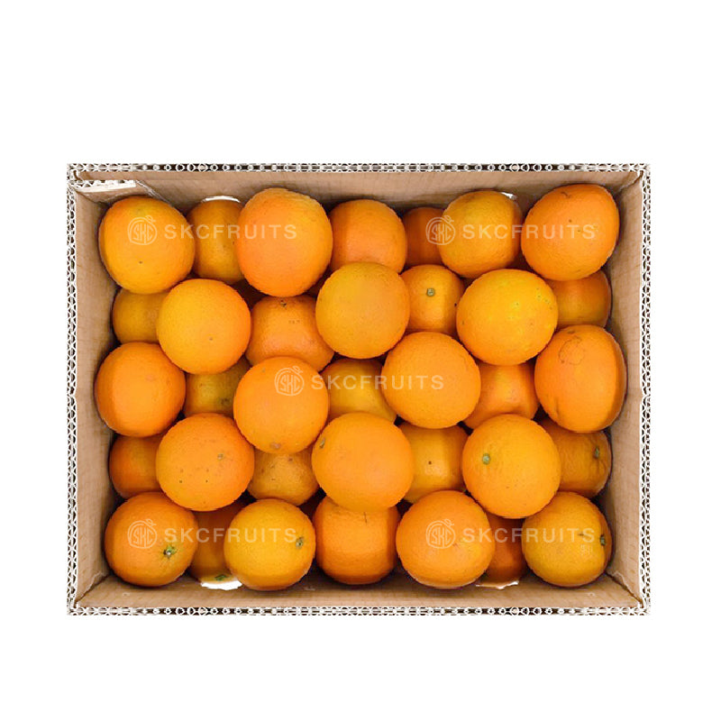 Pakistan Oranges Kinno 巴基斯坦柑 42pcs in festive citrus packaging
