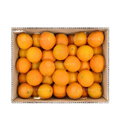 Pakistan Oranges Kinno 巴基斯坦柑 42pcs in festive citrus packaging
