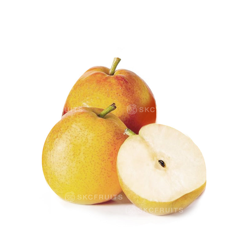 Papple Red Pear Singapore crisp juicy apple-like pear
