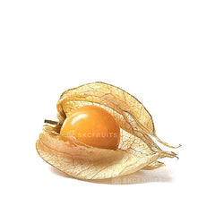 Physalis fruit in Singapore cape gooseberry golden berry 酸栗
