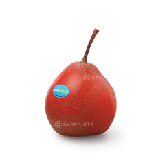 Piqa Boo red pear fruit with juicy crunchy nashi-like texture