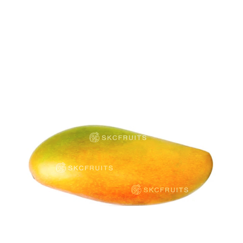 Rainbow Mango from Thailand with colourful green yellow and red skin