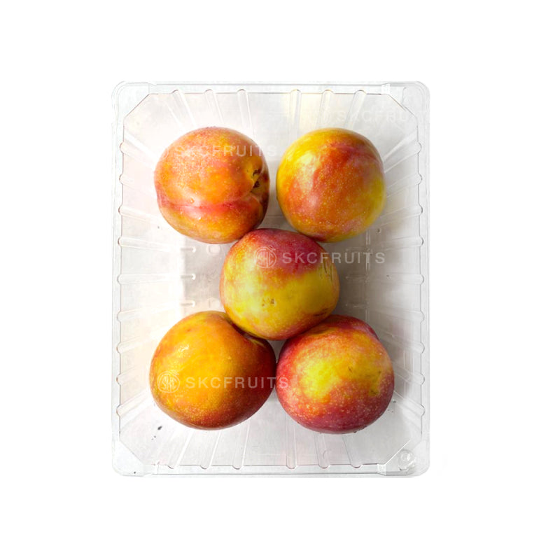 Red plum fruit with golden amber flesh and fresh stone fruit texture Plum fruit suitable for fresh snacking and fruit platters