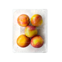 Red plum fruit with golden amber flesh and fresh stone fruit texture Plum fruit suitable for fresh snacking and fruit platters