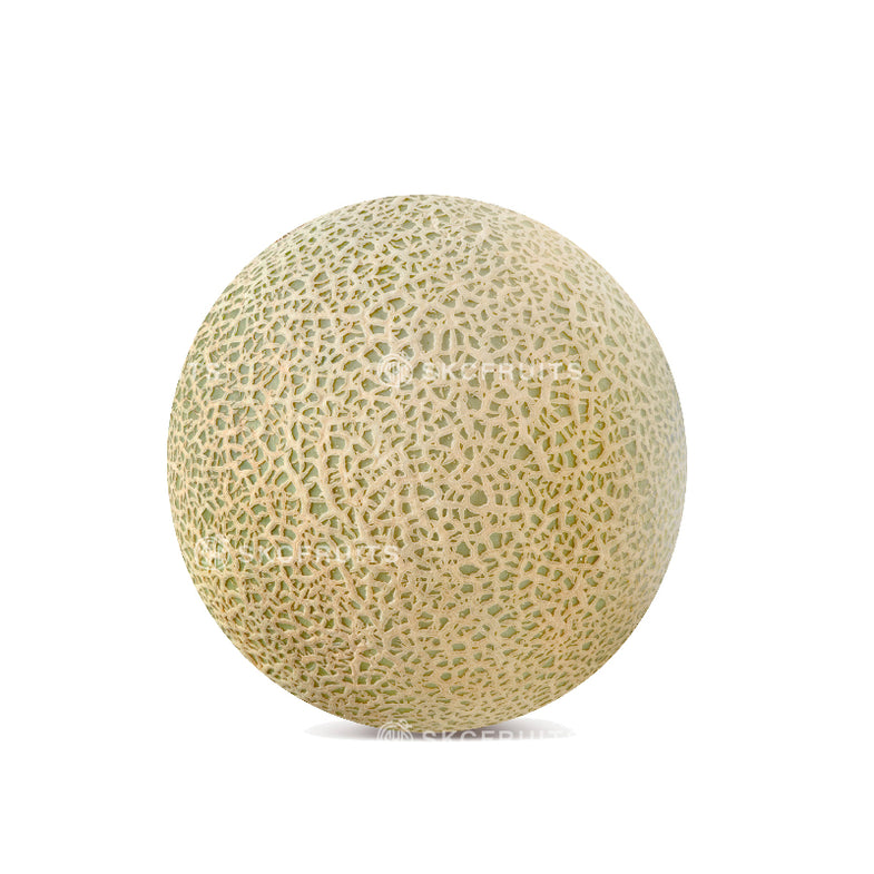 SKC Fruits - Melons SG | Yellow Watermelon, Honeydew & Rockmelon