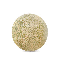 Fresh rockmelon with orange flesh also known as cantaloupe and 三角网瓜
