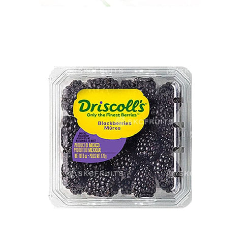 德里斯科尔的黑莓