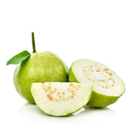 Seedless White Guava