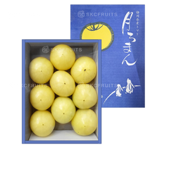 Rare Japanese Tsukiroman Tomato Gift Box