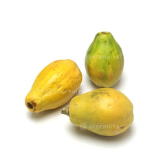 Hawaiian Small Papaya