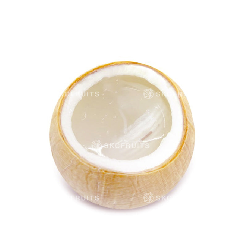 Coconut Jelly