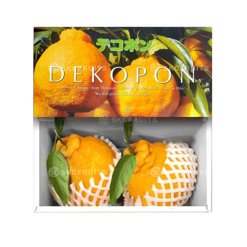 Japanese Dekopon Oranges
