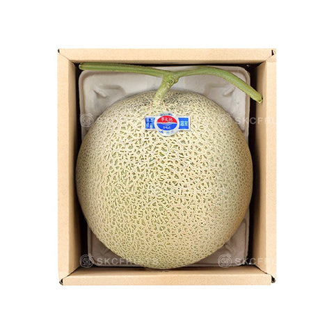 Japanese Kochi Emerald Muskmelon