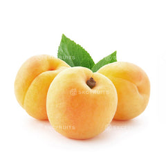 Apricot