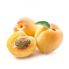 Yellow Apricot