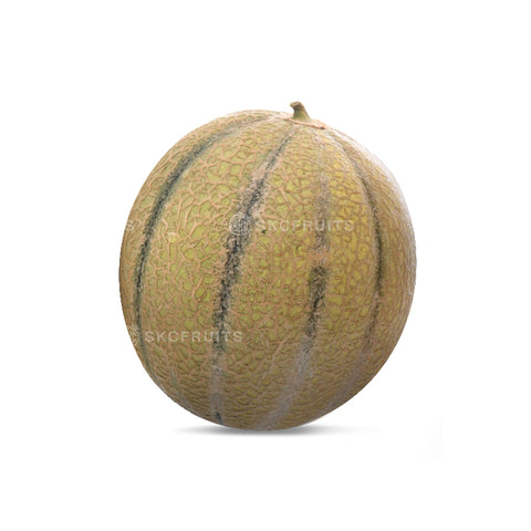 Charentais French Melon