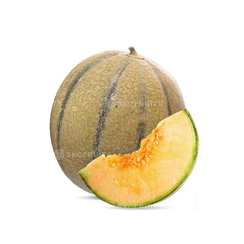 Charentais French Melon