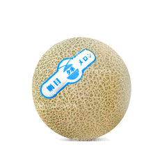 China Husk Melon - 夕禾