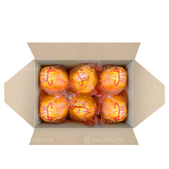 Yong Chun Lukan Orange 永春芦柑 18 pcs (XL)