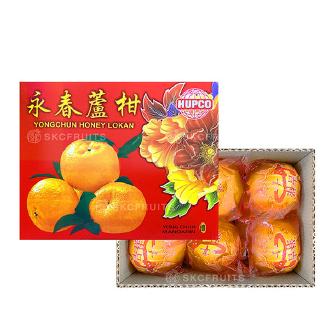 Yong Chun Lukan 永春芦柑 18 pcs (XL)