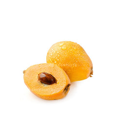 Pipa Loquats