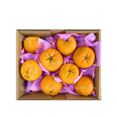Long Men Swatow Jiao Gan Oranges 龙门蕉柑 36pcs