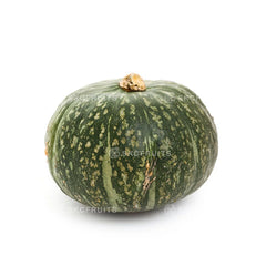 Japanese Pumpkin