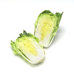 Chinese Long Cabbage (北方大白菜)