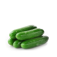 Small Lebanese Cucumber (小黄瓜)