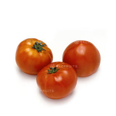Fresh Tomatoes