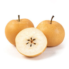 Singo Pear - Xin Gao Pear 新高梨