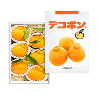 Japanese Dekopon Oranges