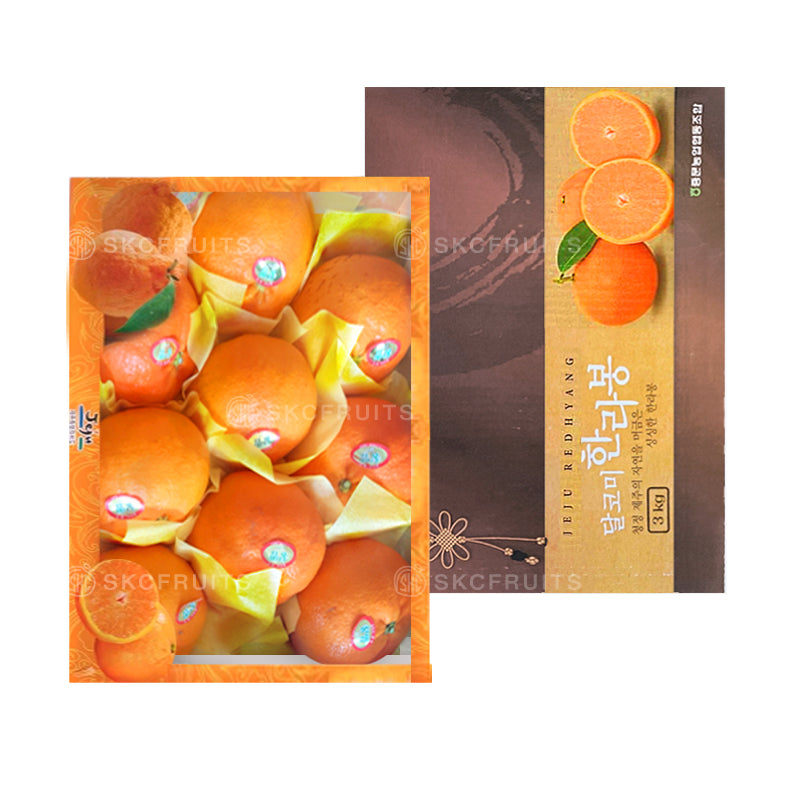 Jeju Red Hyang Mandarin Oranges