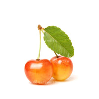 Rainier Cherries