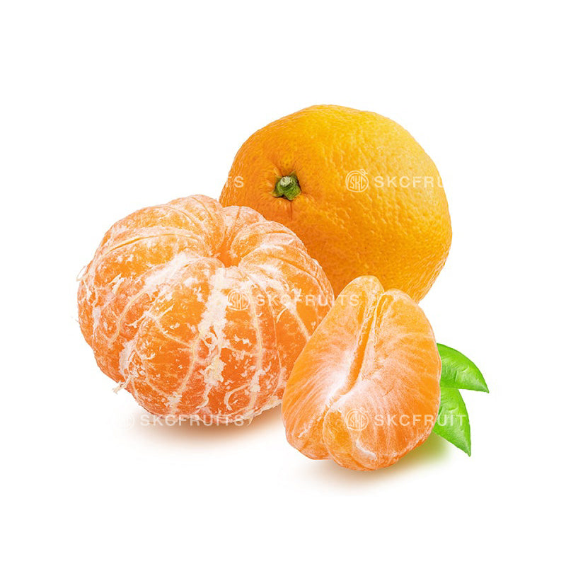 South Africa Mini Mandarin Orange in fresh everyday citrus packaging
