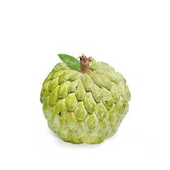 Taiwan Custard Apple for SKC Fruits Singapore
