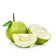 products/thai-seedless-white-guava.jpg
