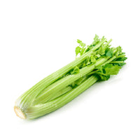 USA Celery with crisp green stalks for cooking and juicing