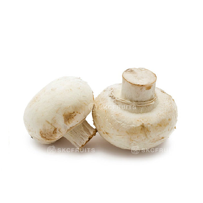 White button mushroom also known as champignon and button mushroom