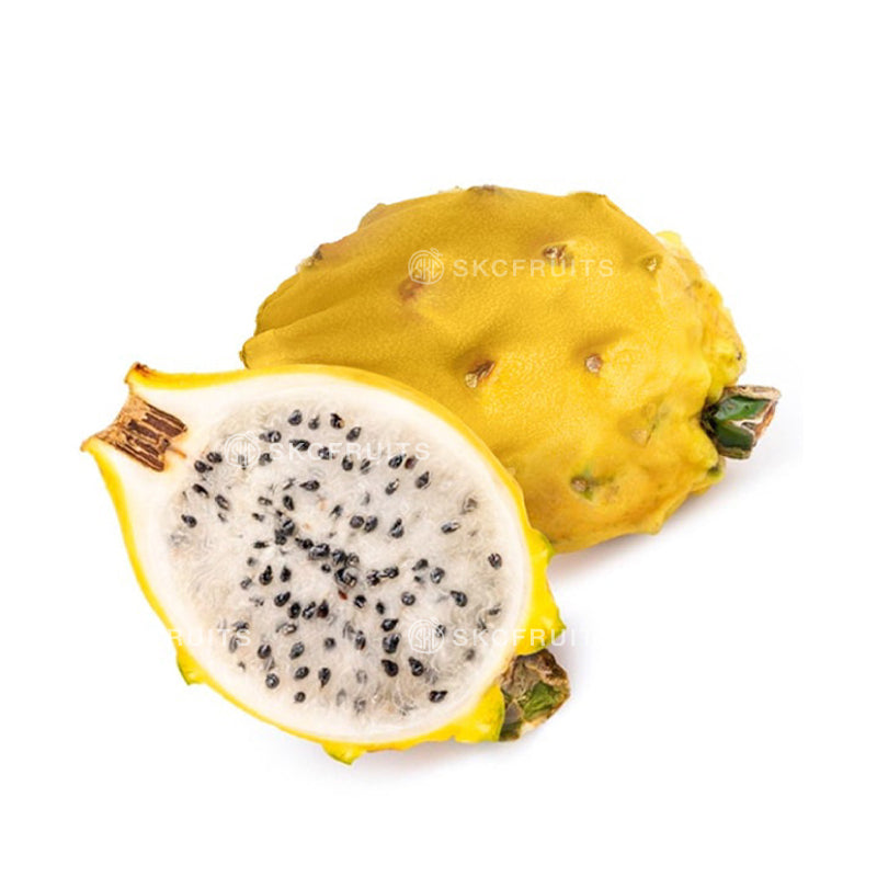 Yellow Dragon Fruit 1 pc from Ecuador packed in a plastic container