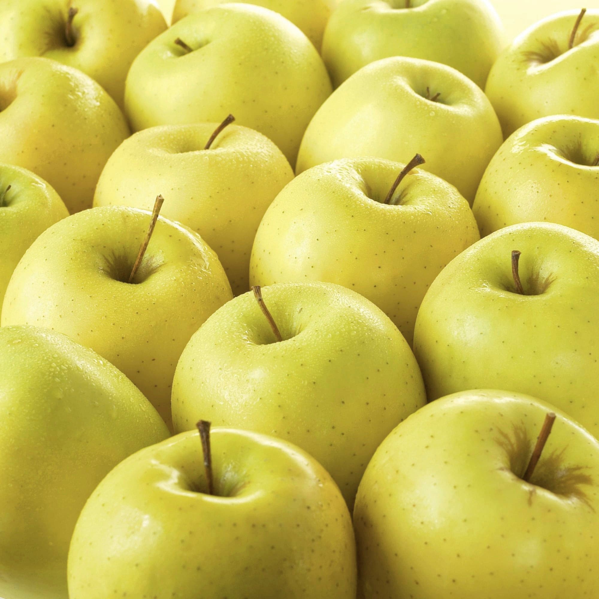 Yellow apple Toki from Japan with sweet aromatic flavour
